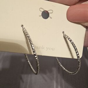 Elegant Silver Hoop Earrings